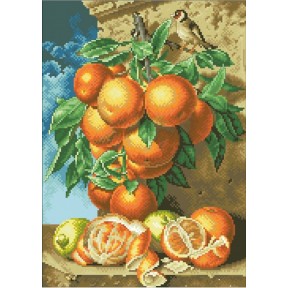 Апельсины Канва с нанесенным рисунком для вышивки крестом Світ можливостей 30.526СМД