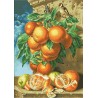 Апельсины Канва с нанесенным рисунком для вышивки крестом Світ