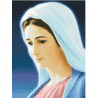 АМС-007. Алмазная мозаика Дева Мария 30х40см фото