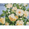 АМШ-109. Алмазная мозаика Белые розы. 33х43см фото