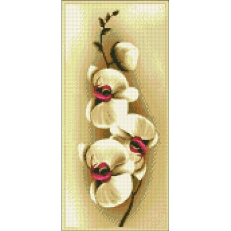 АМП-138. Орхидеи. Алмазная мозаика 20х43см фото