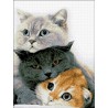 АМС-155. Трио котят. Алмазная мозаика 30х40см фото
