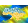 СКВ-202. Карта України жовто-блакитні квіти. Схема для вишивки