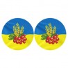 Набор для вышивания бисером Барвиста Вышиванка С Украиной в сердце 37х18 ТР675пн3718k