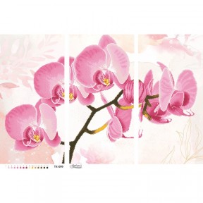Набор для вышивания бисером Барвиста Вышиванка Нежная розовая орхидея (триптих) 86х58 ТК099пн8658k
