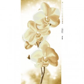 Схема картины Золотистые Орхидеи для вышивки бисером на атласе ТК004ан4695