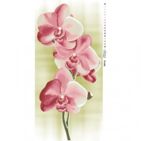 Набор для вышивания бисером Барвиста Вышиванка Нежные Орхидеи 46х95 ТК005пн4695k