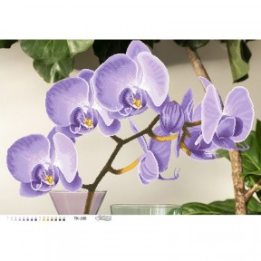 Набор для вышивания бисером Барвиста Вышиванка Стильная фиолетовая орхидея 86х58 ТК100ан8658k