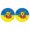 Набор для вышивания бисером Барвиста Вышиванка С Украиной в сердце 37х18 ТР676пн3718k