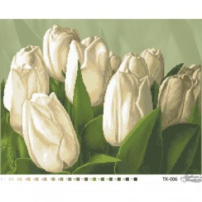 Набор для вышивания бисером Барвиста Вышиванка Тюльпаны 55х43 ТК006ан5543k