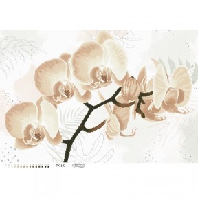 Набор для вышивания бисером Барвиста Вышиванка Хрупкая бежевая орхидея 86х58 ТК102пн8658k