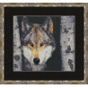 Набор для вышивки крестом Золотое Руно ДЖ-025 Волк фото