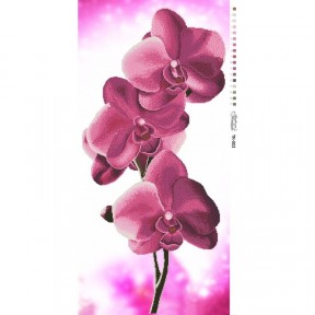 Схема картины Орхидеи для вышивки бисером на габардине ТК003пн4695