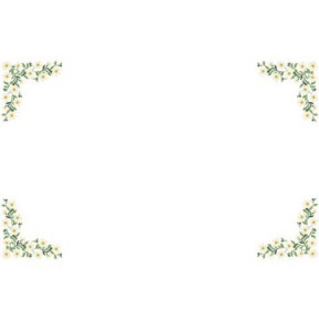 Весняні ромашки Схема для вишивання бісером та нитками на тканині Барвиста Вишиванка ТР779пБ9999