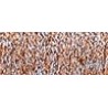 1/16" Ribbon Металлизированная нитка 10 м Kreinik R16-273