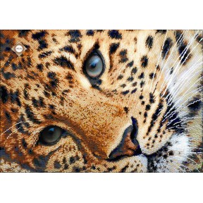 СЛ-3166 Золотой леопард.ТМ Миледи.Схема для круговой вышивки бисером Міледі