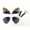 BLUE PANSY. Бабочка Набор для вышивания крестом ArtInspirate BUT-012