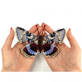 Catocala fraxini. Бабочка Набор для вышивания крестом ArtInspirate BUT-040