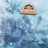 Канва принтованная 16ct 30х40 см Zweigart КЗ16_30Х40_201