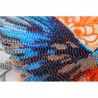 Красочный взмах крыла Набор для вышивки бисером Абрис Арт AB-901