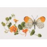 Набор для вышивки крестом Butterfly-Nasturtium Linen Thea Gouverneur 437