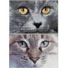 Набор для вышивки крестом Cats Jack + Luna Aida Thea Gouverneur 541A