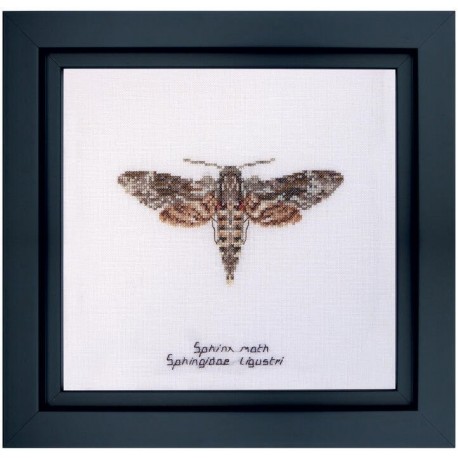 Набір для вишивання хрестиком Sphinx moth Linen Thea Gouverneur