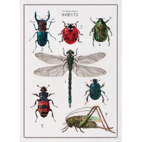 Набор для вышивки крестом The History of Insects Linen Thea Gouverneur 566
