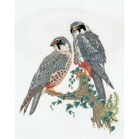 Набір для вишивання хрестиком Falcons Linen Thea Gouverneur
