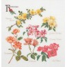 Набір для вишивання хрестиком Rose Panel Linen Thea Gouverneur