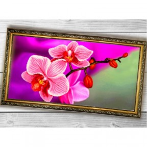 Розовая орхидея Схема для вышивки бисером Biser-Art 3060004ба