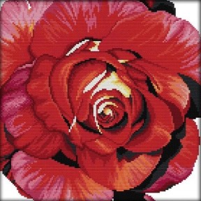 Цвет розы Набор для вышивания крестом с печатной схемой на ткани Joy Sunday H383JS