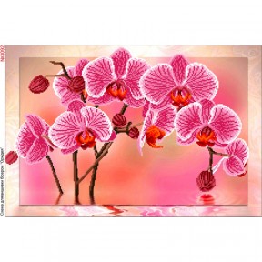 Орхидея Схема для вышивки бисером Biser-Art 3092ба