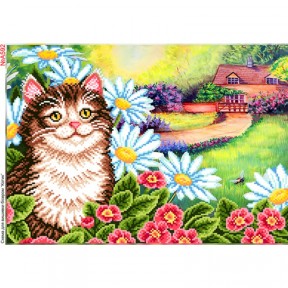 Цветочный котик Схема для вышивки бисером Biser-Art A592ба