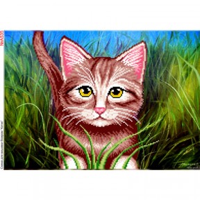 Котик у траві Схема для вишивки бісером Biser-Art A535ба