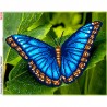 Синій метелик Схема для вишивки бісером Biser-Art 395ба