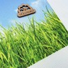 Канва принтована 16ct 30х40 см Zweigart КЗ16_30Х40_2049