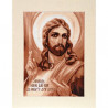 Набор для вышивки крестом Alisena 1171а Исус фото