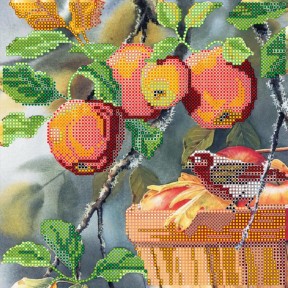 Схема для вышивания бисером Абрис Арт АС-485 Любитель яблок