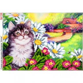 Котик в ромашках Схема для вышивки бисером Biser-Art 158ба