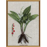 Набор для вышивания нитками Нова Слобода ЕМ-4024 Ботаника.