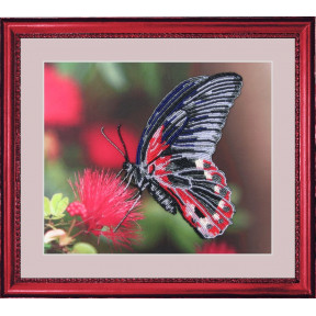 Набір для вишивання бісером Butterfly 103 Метелик