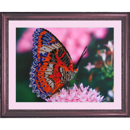 Набор для вышивания бисером Butterfly 102 Бабочка фото