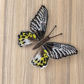 Troides hypolitus. Метелик Набір для вишивання хрестиком ArtInspirate BUT-14