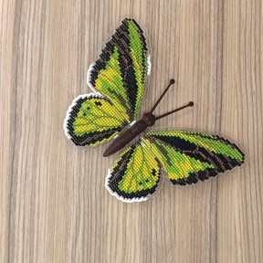 Ornithoptera goliath. Бабочка Набор для вышивания крестом ArtInspirate BUT-20