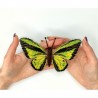 Ornithoptera goliath. Бабочка Набор для вышивания крестом ArtInspirate BUT-20