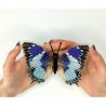 Charaxes Smaragdalis. Бабочка Набор для вышивания крестом ArtInspirate BUT-62