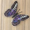 Parthenos sylvia lilacinus. Метелик Набір для вишивання хрестиком ArtInspirate BUT-84