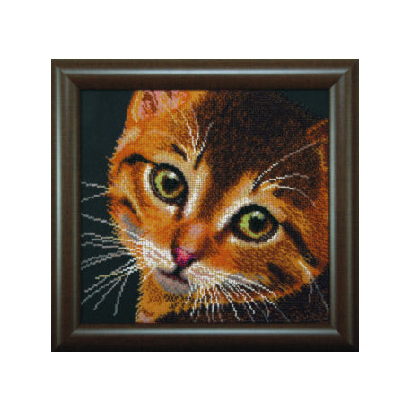 Набор для вышивки бисером Чарівна Мить Б-728 Рыжий котенок фото