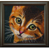 Набор для вышивки бисером Чарівна Мить Б-728 Рыжий котенок фото